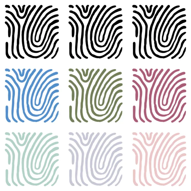 One Shape, Seven Colors
